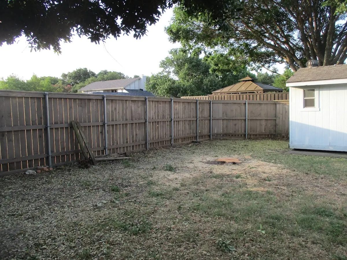 Cleared yard after professional tree removal in Leesburg